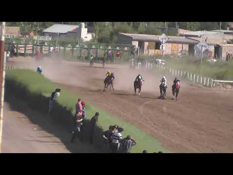 DON ANTONIO Jockey Club Neuquén - Neuquén - 05-03-2023