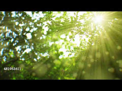 The Best video Background Ever