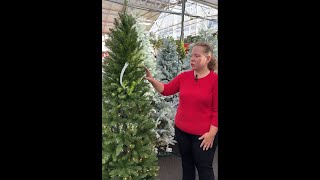 Troubleshooting Incandescent lights on Christmas trees