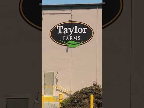 FDA says Taylor Farms lettuce produced a false positive for cyclospora. So what's next?