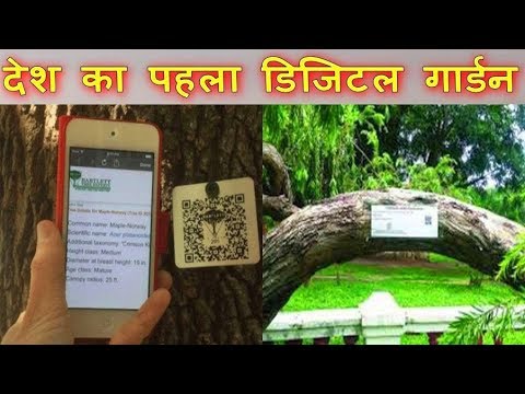 download lagu mp3 mp4 Digital Garden As, download lagu Digital Garden As gratis, unduh video klip Digital Garden As