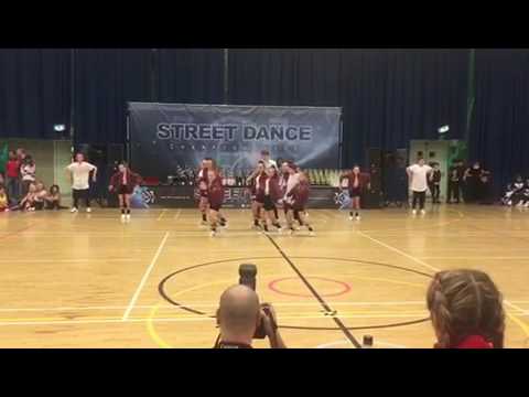 Untamed - Crawley CHAMPIONSHIPS | 101 | November 2016