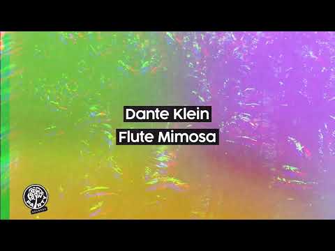 Dante Klein - Flute Mimosa