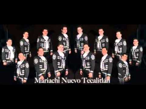 el gavilancillo mariachi nuevo tecalitlan