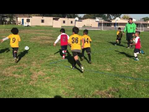 Gallitos minis 1st half