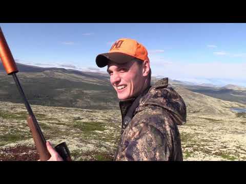 Rentierjagd in Norwegen - Hunter Brothers