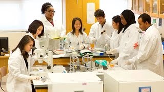 Download lagu Building Confidence for Careers in Science mp3