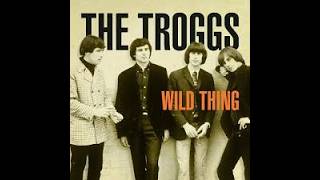 Wild Thing: The Song That Changed Rock Forever 🎸