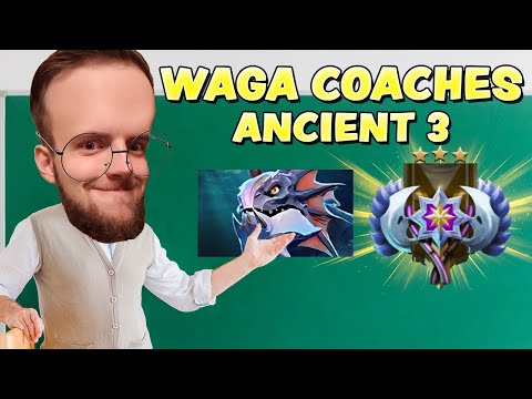 WAGA COACHES ANCIENT 3 SLARDAR
