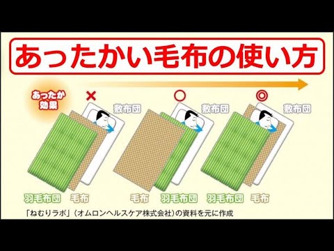 冬に鳥に餌を与えるにはどうすればよいですか？羽毛をより良くケアするために避けるべき間違い  庭園