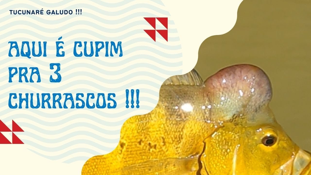 ESSE TAVA GALUDO HEIM... NESTE DIA EU ESTAVA MÃO DE ALFACE !!!