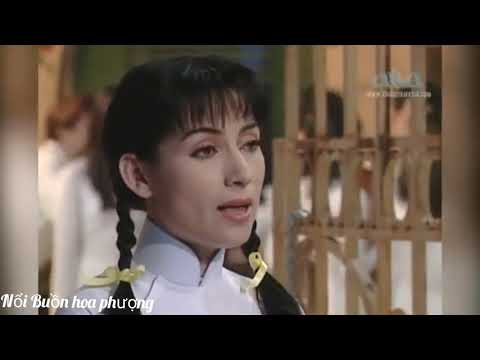 Thể hiện bởi Phi Nhung