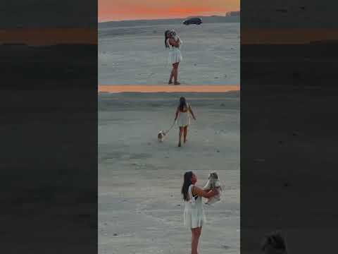 Dogs teach us more than we expect — loyalty, joy, and how to find happiness in the simplest moments.