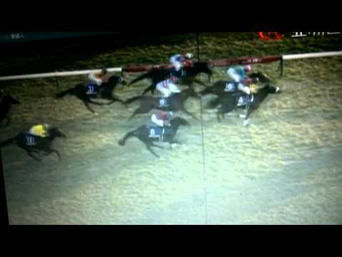 Japan cup 2012 - Gentildonna (Narrado em Português)