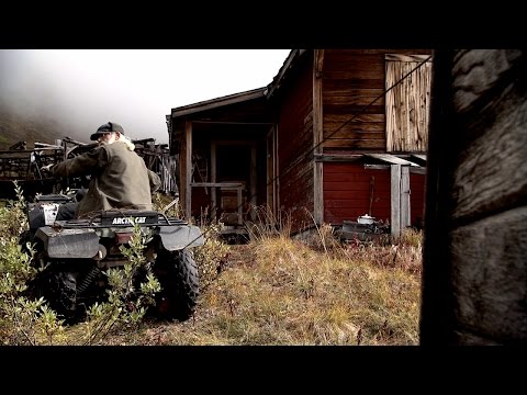 Bear at the Angle Station | Edge of Alaska