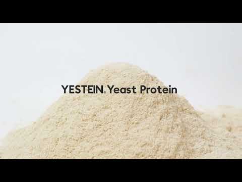 Yeast Protein Powder