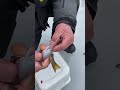 HOW TO CLEAN A PERCH IN 10 SECONDS