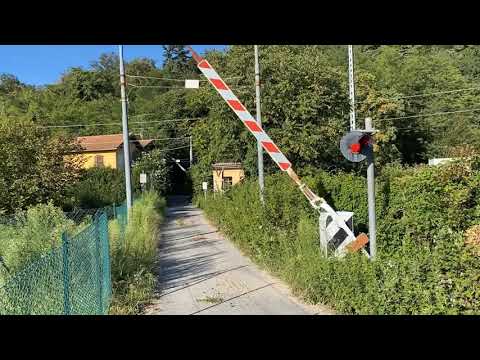 La CANARINA in transito sulla ferrovia GALLARATE / LUINO a LISANZA