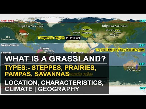 What are Grassland | Types - Temperate & Tropical | Location, Characteristics, Climate | Geography