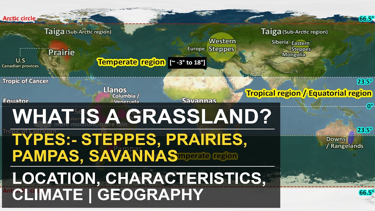 How many types of grassland are there?