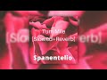 Tum Mile Slowed Reverb Spanentelio