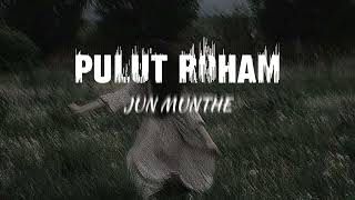 Download lagu pulut roham - Jun Munthe ( lirik ) mp3
