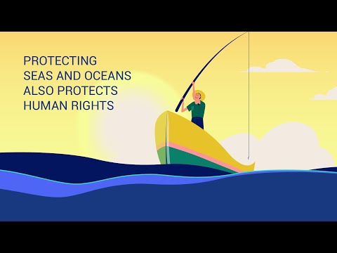保護海洋也是保護我們的人權 (Protecting Seas and Oceans also protects our human rights)