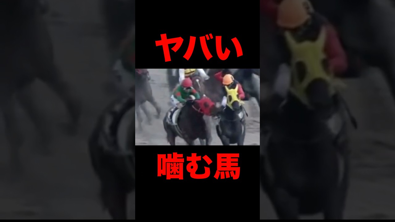ヤバい、噛む馬