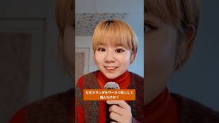 なぜオランダをワーホリ先として選んだのか?🇳🇱#オランダワーホリ