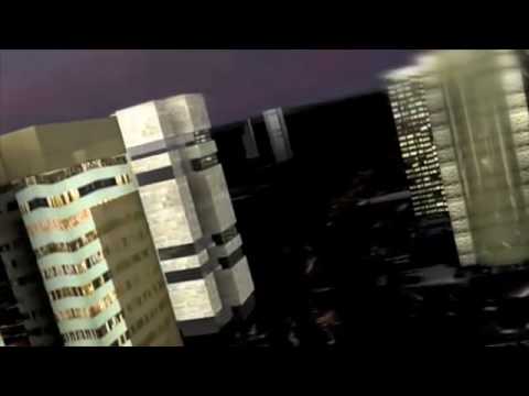 SUN CONTROL SPECIES - Structure