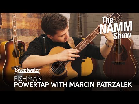 Taylor gs mini Fishman matrix powertap付き Taylor gs mini Fishman matrix powertap付き