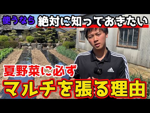 庭のマルチの種類の長所と短所は何ですか