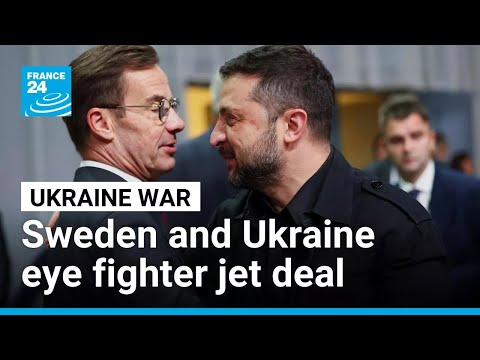 Sweden and Ukraine eye export deal for up to 150 fighter jets • FRANCE 24 English