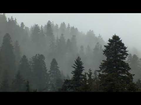 Mosimann - Never let you go feat. Joe Cleere