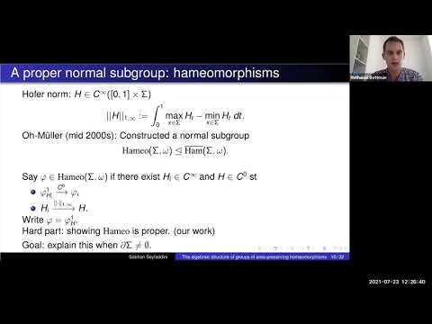 Sobhan Seyfaddini - The algebraic structure of groups of area-preserving homeomorphisms