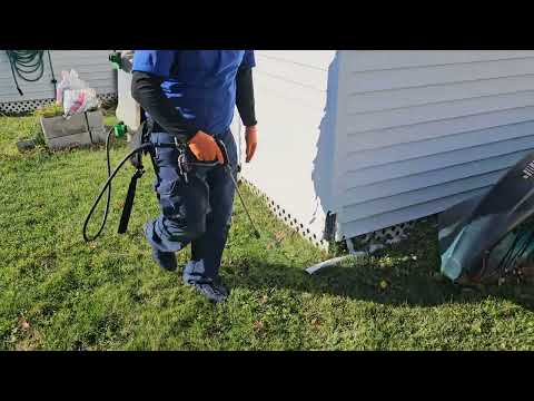 Treating the Ants Around the Warehouse in Peapack, NJ