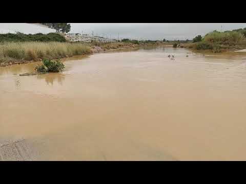 Benicarló 6 de novembre de 2020