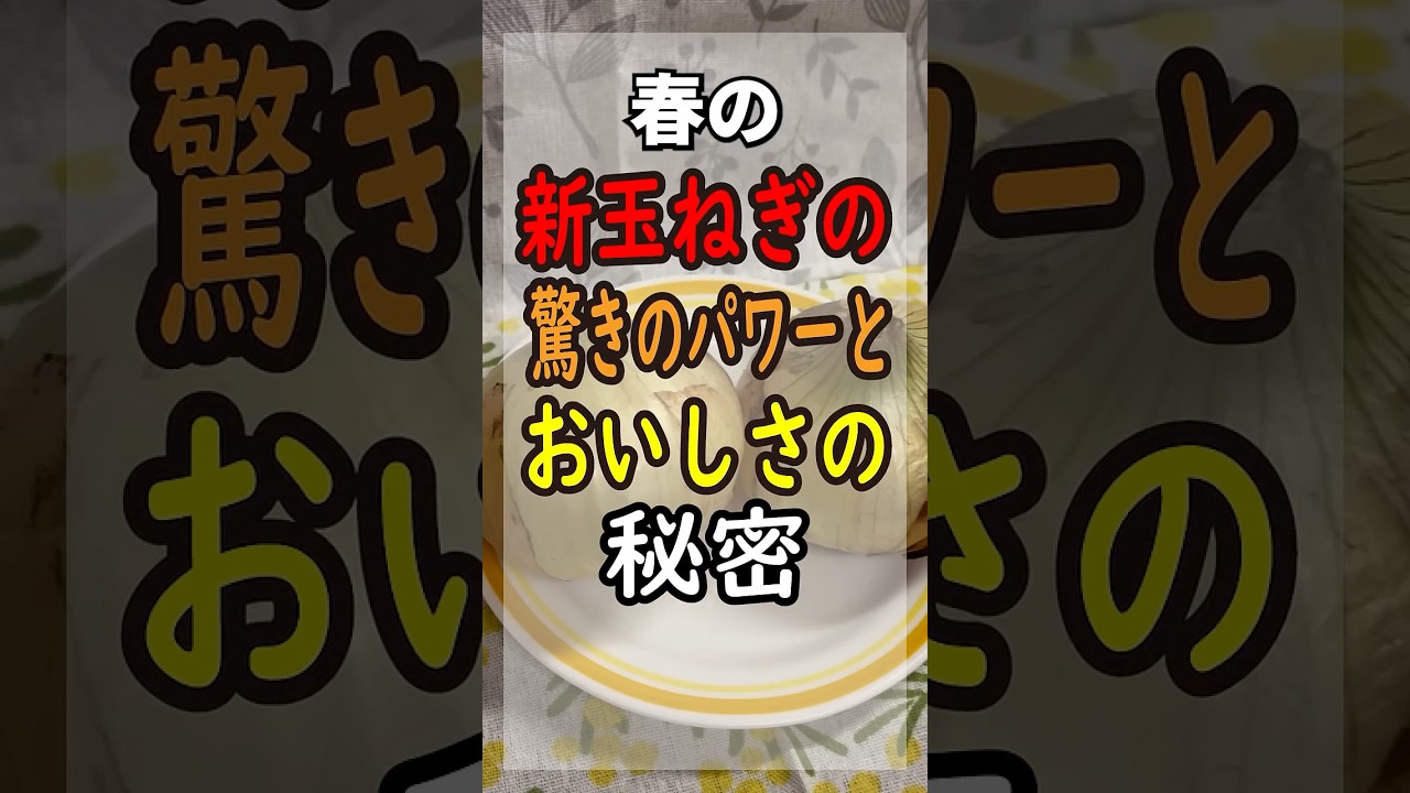 【新玉ねぎ】驚きのパワーと美味しさの秘密｜血液サラサラで春の運気を整える「魔法の食べ方」