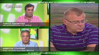 Θεσσαλων Γη - Πληγμα απο τις καιρικές συνθηκες στον καμπο 23 7 2018