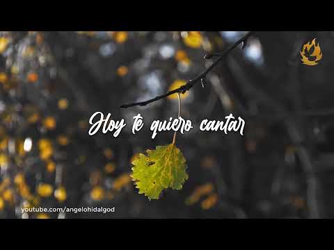 Porque te amo (hoy te quiero adorar) — Alabanzas Maranatha