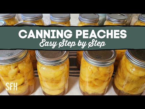 EASY Step by Step Guide to Canning Peaches