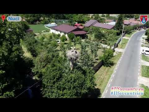 Explorează frumusețea și fascinația naturii alături de noi: la pas prin Ilfov!