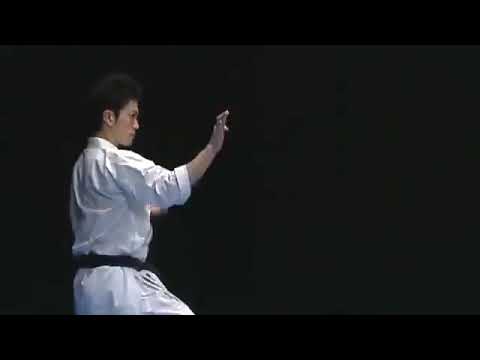 Shinkyokushin Kata - Sushiho 新極真会型五十四歩