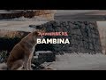 Pamungkas - Bambina (Video Lirik)