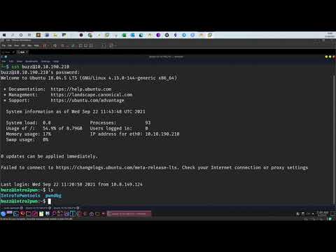 Buffer Overflow in networking applications P10 | TryHackMe Intro To Pwntools