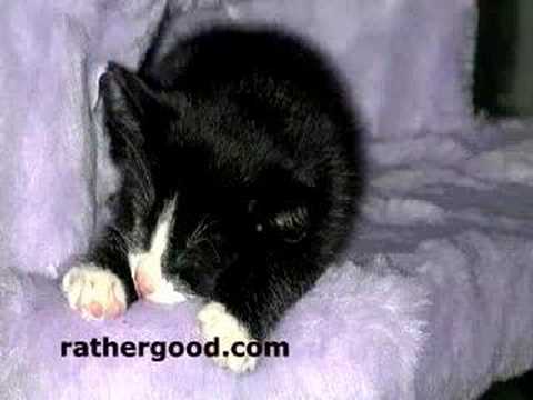 AnickaVavracova’s Video 124509354820 5es5MQX0VVA