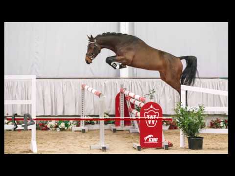 24  Cadillac Hengst v. Capistrano - Raphael