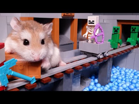 Pet HAMSTER vs MONSTERS & ROBOTS - Major Hamster is Kung Fu master!