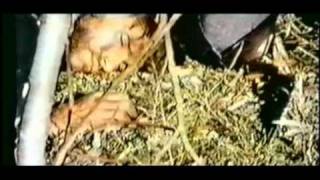 Shango, la Pistola Infallibile (Trailer Inglese)