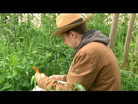 CampusTV Mainz 224 - Quick Check: Kulturanthropologie